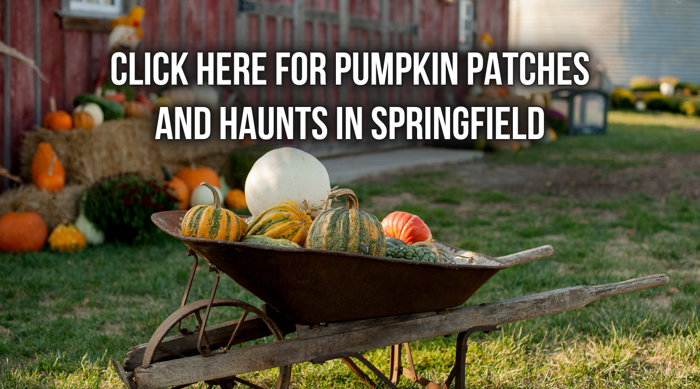 Pumpkin Patches