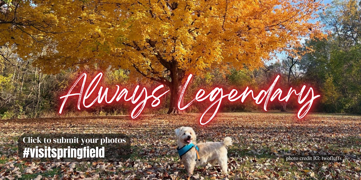 Mobile Homepage Header Photo