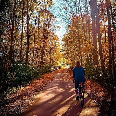 Biker on Bike Trail