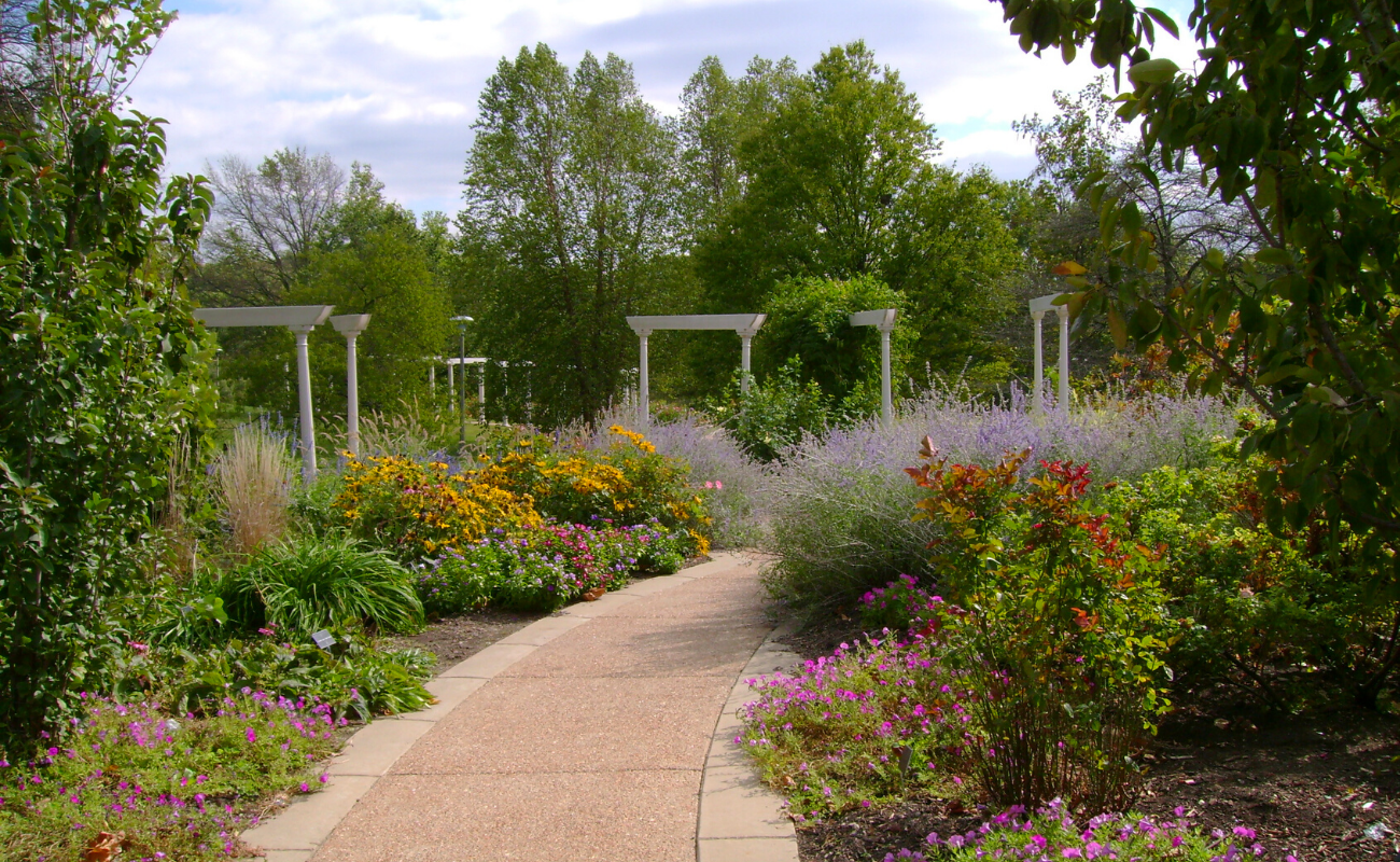 Outdoor Venue Space