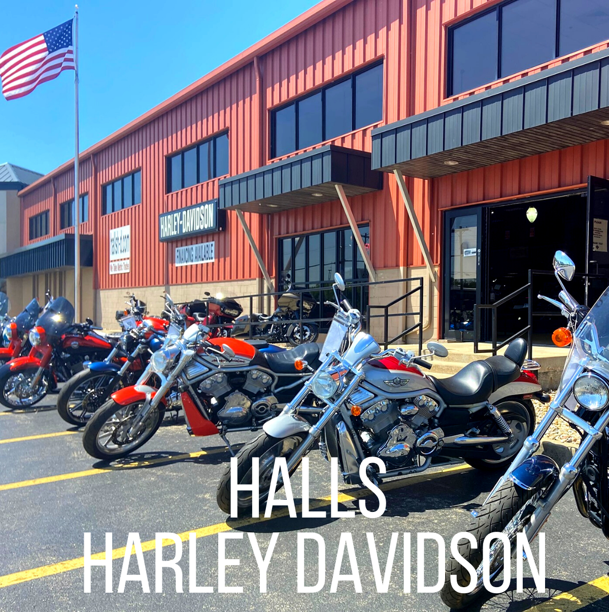Halls Harley Davidson