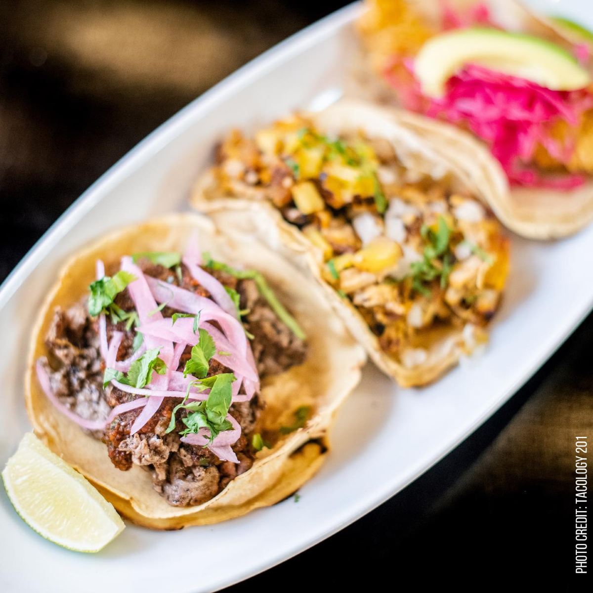 5 Must Eats